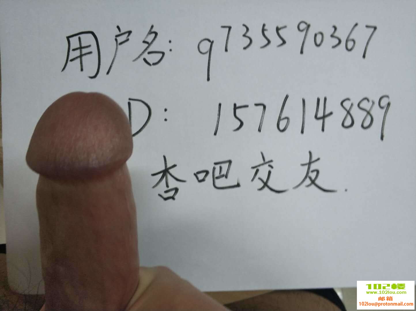 4d7759a2d1cf1d31fad9ec4f35a12edd.jpg